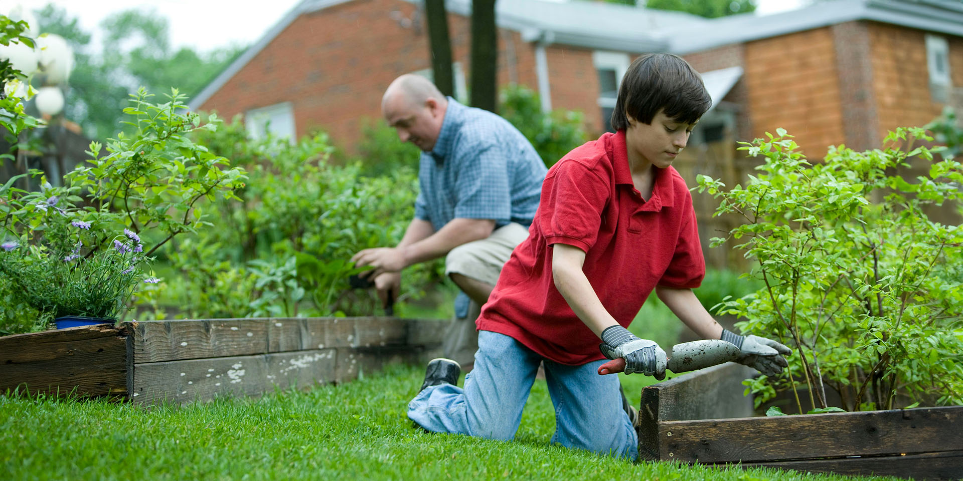 Menschen bei Gartenarbeit